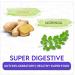 BLUE TEA - Ginger Moringa Herbal Tea - 36 Tea Bags (Pack of 2) |HEALTHY SUPERFOOD | Blend of Indian Ginger and Fresh Moringa | Caffeine Free | Eco-Sustainable Packaging - Buy Online on GoSupps.com