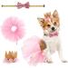 Zhenp 3 pieces wedding dress for dogs tutu rock for dogs dogs princess kronen set pet tutu krone dog birthday suit dog tutu rock set with collar rock collar for little pet