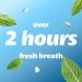 Smint Sugar Free Mints 2 Hour Clean Breath 50 XXL Peppermint Flavour - 12 Tins - Buy Online on GoSupps.com