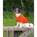 Buy Idepet Dog Sweaters - Warm Pullover for Small Dogs & Cats | Orange | Ideal for Chihuahuas & Teddy Poodles - Buy Online on GoSupps.com
