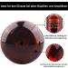 Dernord 150W Infrared Red Light Lamp for Reptiles & Terrariums - Heat Lamp for Toads Turtles Birds & Spiders | 2 Pack - Buy Online on GoSupps.com