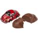 Delicious Car Set of 6 Fine Milk Chocolate (6 x 15g) - Perfect International Gift - Buy Online on GoSupps.com