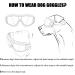 Tsathoggua Dog Goggles Dog Sunglasses with Elastic Strap UV Pet Goggles Protect Dog's Eyes for UV Wind Dust and Fog Medium/Large Breed - Buy Online on GoSupps.com