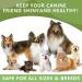 Omega 3 for Dogs - Salmon Oil for Dogs Skin and Coat Supplement with EPA & DHA Fatty Acids - Dog Itch & Allergy Relief Anti Shedding Shiny Coats - Promotes Heart Hip & Joint Support - 180 Counts - Buy Online on GoSupps.com