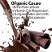Buy Glimmer Goddess Organic Exfoliating Chocolate Cherry Face Mask - Hydrates & Brightens Skin | 2 oz - International Shipping Available - Buy Online on GoSupps.com