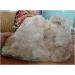 Natural Clear White Quartz Crystal Cluster Specimen 2563g Home Collections - Buy Online on GoSupps.com