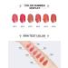 INTO YOU Matte Lipstick - Ultra Highly Pigmented Nude Lip Stick | Smooth Lightweight Cream Finish for Women (S01 - Buy Online on GoSupps.com