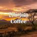 Ethiopian Coffee Yirgacheffe Whole Bean 16oz - Fresh Roasted 1lb Pack - Buy Online on GoSupps.com