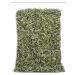 White Peony (Bai MuDan) Tea Loose Leaf Chinese White Tea (3.52oz) 100g