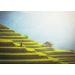 Lais Puzzle Rice fields on the terraces of Mu Cang Chai YenBai Vietnam 1000 pieces - Buy Online on GoSupps.com