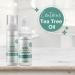 Tints of Nature Natural and Organic Hand & Face Cleansing Foam Cleanses and Refreshes Tea Tree Oil 1 x 50ml - Buy Online on GoSupps.com
