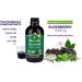 Elderberry Syrup for Adults IMMUNIA. Elderberry Concentrate with Elderflower Thyme and Peppermint. No Sugar Added. Delicious Taste. 24 Days/Bottle - Buy Online on GoSupps.com