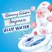 Bloo Limited Edition Sakura Blue Toilet Rim Block with Anti-Limescale Cleaning Foam - 1 Pack - Buy Online on GoSupps.com
