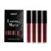 Matte Liquid Lipstick Set 4 Colors Mist Waterproof Long Lasting Lipsticks Non-Stick Cup Lipgloss