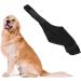 Dog Knee Brace for Hind and Rear Leg Knee Brace for Dog Support for Dog ACL CCL Cruciate Ligament Injury Joint Pain and Muscle Sore(XL/Left) - Buy Online on GoSupps.com