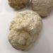 VIE Small 8-10cm Uncracked Geodes - 1 kg | Natural Crystal Rocks for Sale - Buy Online on GoSupps.com