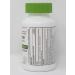 Major All Day Allergy Relief Cetirizine 10mg HCL 500 tabs - Long-Lasting Relief - Buy Online on GoSupps.com