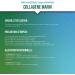 Collag ne Marin | Vitamines C & E | Hydratation & Anti- ge | 60 G lules VINDI NUTRITY Fabriqu en France - Buy Online on GoSupps.com
