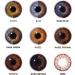 Chromaview 3 Tone Colored Contact Lenses - Non-Prescription Brown (30 Days) | International Shipping - Buy Online on GoSupps.com