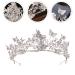 HEALLILY Baroque Crystal Butterfly Flower Tiara Crown - Bridal Headband for Women in Silver - Buy Online on GoSupps.com