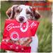SnackOMio Premium Dog Snack - Tender Grain-Free Chicken Breast Fillet Strips 70g - International Shipping Available - Buy Online on GoSupps.com