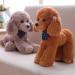 Heionia Teddy Dog Plush Toy - Kawaii Brown Poodle Cuddly Toy (20cm) | Perfect Gift for Kids & Girls | International Shipping Available - Buy Online on GoSupps.com