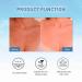 Birch Juice Moisturising Sunscreen - 2 Pack, 1.69 Oz, Organic SPF50 PA++++ Korean Skin Care for All Skin Types - Buy Online on GoSupps.com