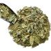 Herbal tea Boldo leaf 100 GRS Peumus boldus - Buy Online on GoSupps.com