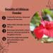 Mi Nature Organic Hibiscus Powder - USDA Certified (227g) | 100% Pure for Hair, Skin & Health | Natural & Organic - 8 Ounces - Buy Online on GoSupps.com