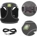 Harness and Lead Set for Puppy Cat Adjustable Reflective Vest Harness Cat Leash Cat Harness Escape Proof for Small Dog Cat Kitten Puppies Walking - Buy Online on GoSupps.com