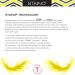 Staino Interdental Brushes Refill - Ultrafine Tapered - 36 Units - Essential Dental Care for Healthy Smiles - Buy Online on GoSupps.com