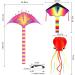 3 Pack Large Kites for Kids & Adults - Easy to Fly and Assemble - Includes Delta, Devil Fish, and Octopus Kites with 330 Ft String - Rainbow, Orange, and Red Design - Buy Online on GoSupps.com