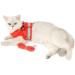 Buy Ranphy Cat Dishes & Breakproof Leash Harness - Reflective Padding for Small Cats & Puppies | Soft Fabric Step-in Design - Red (Chest Size: 34 cm) - Buy Online on GoSupps.com