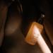 ALQVIMIA Generous Bust Oil 100ML | Enhance Your Curves | International Shipping Available - Buy Online on GoSupps.com