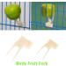 Anteer 12 Pack Bird Parrot Swing Chewing Toys - Hanging Bell Cage Toys for Small Parakeets, Cockatiel, Conures, Finches, Budgie, Macaws, Parrots, Love Birds - Buy Online on GoSupps.com
