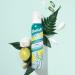 Batiste Dry Leave In Conditioner Original 100ml - Vegan Friendly Hair Conditioner Foam with Aloe Vera - Fresh Fragrance - No Rinse Formula for Dry Hair - Buy Online on GoSupps.com