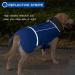 Reflective Waterproof Dog Winter Jacket with Thicken Fleece Lining - Blue - Medium - Buy Online on GoSupps.com