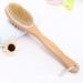 Premium Shower Back Brush - Soft & Stiff Bristles for Circulation Cellulite Massage & Relaxation | International Shipping - Buy Online on GoSupps.com