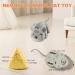 SCOOLR Remote Control Rat Toys Wireless Infrared RC Control Realistic Mouse Toy For Cat Kitten Dog Pet Novelty Gift For Kids Children Halloween Christmas Party Birthday Gifts (Gray) - Buy Online on GoSupps.com