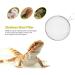 BESPORTBLE 2pcs Pet Sand Shovel Sand Filter Mesh Reptile Sand Shovel Sieve Filter Pet Supplies Reptile Supplies Reptile Cleaning Tool Filter Shovel Stainless Steel Filter 26x14cmx2pcs Silverx2pcs - Buy Online on GoSupps.com