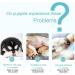 22 Pack Newborn Pet Feeder Puppy Cat Kitten Feeding Bottle Kit with Syringe-s Feeding Nursing Bottle Nipple for Small Mammals Neonates Week Old Newborn Animal - Buy Online on GoSupps.com