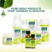 Thursday Plantation Tea Tree Oil 1.7 fl oz - 100% Natural Cleansing and Purifying Oil - Buy Online on GoSupps.com