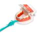 Interdental Threading System with Proxy Brush Inserts - Floss Under Bridges & Implants | Hard-to-Reach Oral Care - Buy Online on GoSupps.com