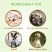 Soft Disposable Dog Diapers for Bitches - 12 Pack High-Suction Incontinence & Heat Protection | Pet Care Essentials - Buy Online on GoSupps.com