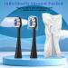 YMPBO Replacement Heads for Waterpik Complete Care 5.0/9.0 - 10pcs Electric Toothbrush Heads + 1 Holder - Soft Dupont Bristles - Black - Buy Online on GoSupps.com