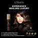 L'ANZA Keratin Healing Oil Bounce Up Hair Spray Boosts Volume and Shine With a Weightless Formula For an Extra Push of Plump Body & Bounce (6.1 Fl Oz) - Buy Online on GoSupps.com