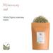 Organic Rosemary Herbs from Greece - Culinary Rosemary Officinalis Dried & Tea 350g Pack - Premium Quality Rosemary Bio - Buy Online on GoSupps.com