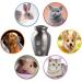 PCS Memorial Pet Cremation Urn for Dogs and Cats Ashes - Engraved Paws - Silver Vertical Design - Small (0-45lbs) - Buy Online on GoSupps.com