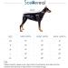 SCENEREAL Reversible Dog Winter Jacket - Windproof Waterproof Plaid Vest for Small, Medium, Large Dogs - Red-Black - Buy Online on GoSupps.com