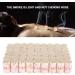 54 Pieces Moxibustion Sticks - Traditional Moxa Cone Rolls for Women's Wellness | 5 Years Quality Care - Buy Online on GoSupps.com